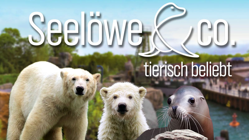 Neue Folgen „Seelöwe & Co.“ im NDR aus dem Zoo Hannover