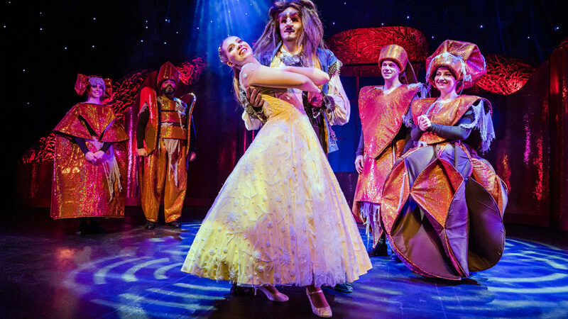 „Die Schöne und das Biest – das Musical“ in Hannover – Kartenverlosung bei Sehnde-News