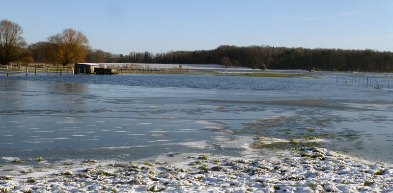 Region Hannover warnt: Eisflächen in Naturschutzgebieten dürfen nicht betreten werden