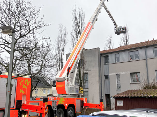 Feuerwehr Hannover holt Katze mit Teleskopmastbühne aus Baum