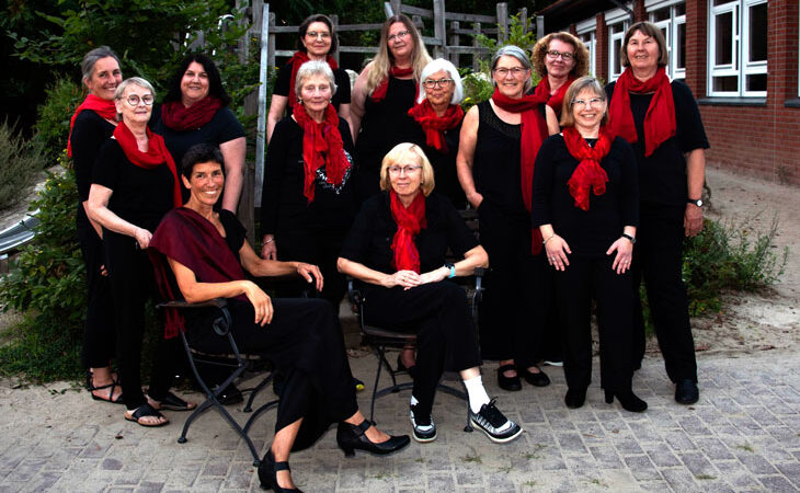 Wohnzimmerkonzert des Frauenchors Piccolo: Ein Abend voller musikalischer Highlights mit Chor, Cello und Klavier