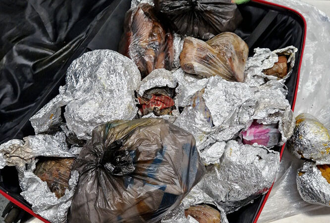 Zoll beschlagnahmt zwei Koffer voller ungekühlter Lebensmittel am Flughafen