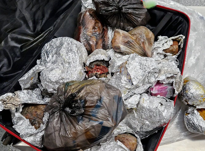 Zoll beschlagnahmt zwei Koffer voller ungekühlter Lebensmittel am Flughafen