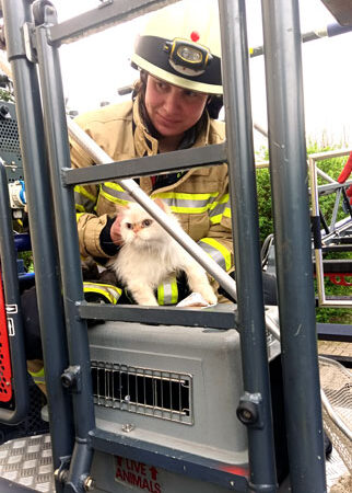 Tierische Rettungsaktion in Lehrte: Feuerwehralarm für „Mischa“