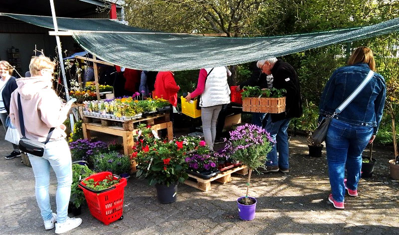 Pflanzenbörse und Kartierertreffen des BUND in Ahlten