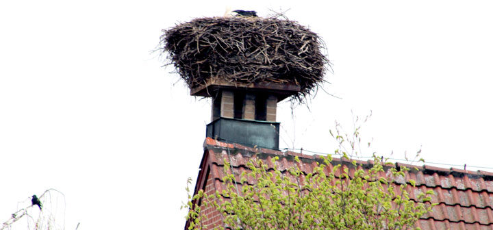 Storchenradtour und neue Rastplätze im Raum Lehrte mit dem ADFC besuchen