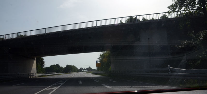 Hohes Wildunfall-Risiko durch Umstellung auf Sommerzeit