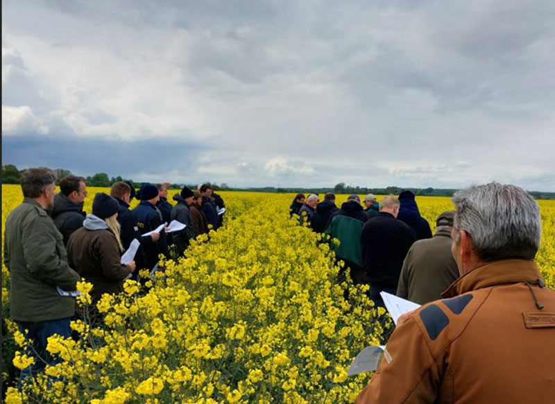 Rapsrundfahrt der Landwirtschaftskammer auf dem Hof Lehrke in Sehnde