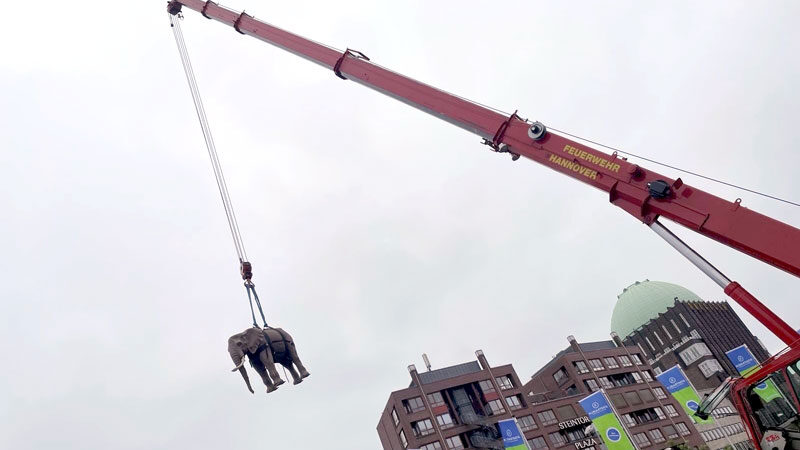 Dieses Jahr noch größer: Blaulichtmeile 2024 in Hannover wieder ein voller Erfolg