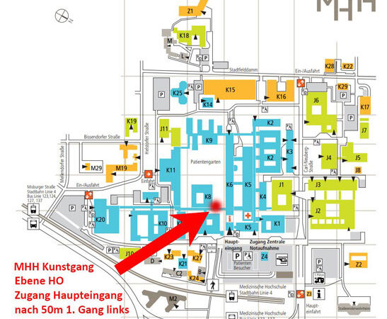 Fotoausstellung „Auf der Suche nach den „Big Five“‘ in der MHH mit Vernissage