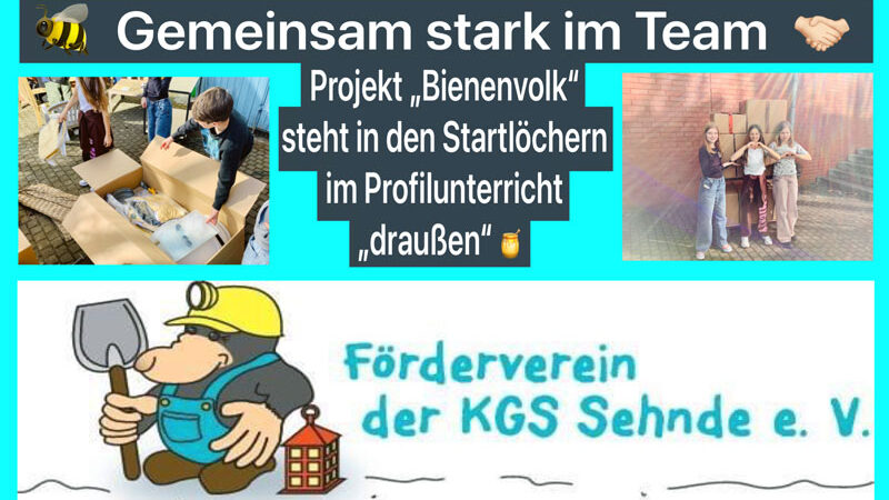Summendes Klassenzimmer: Schulprojekt „Bienenvolk“ an der KGS Sehnde
