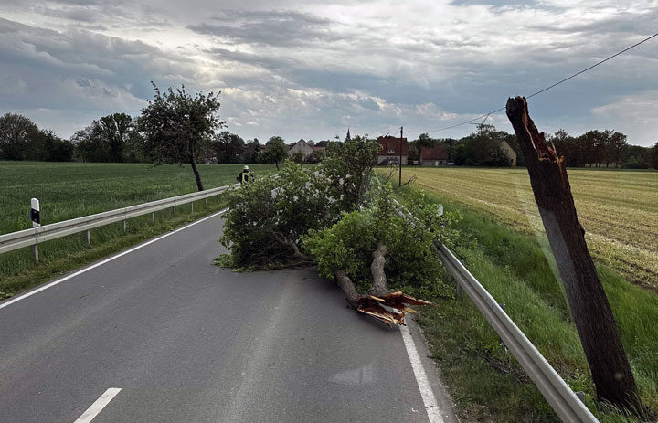 Hohenhamelner Feuerwehren beseitigen mehrere umgestürzte Bäume