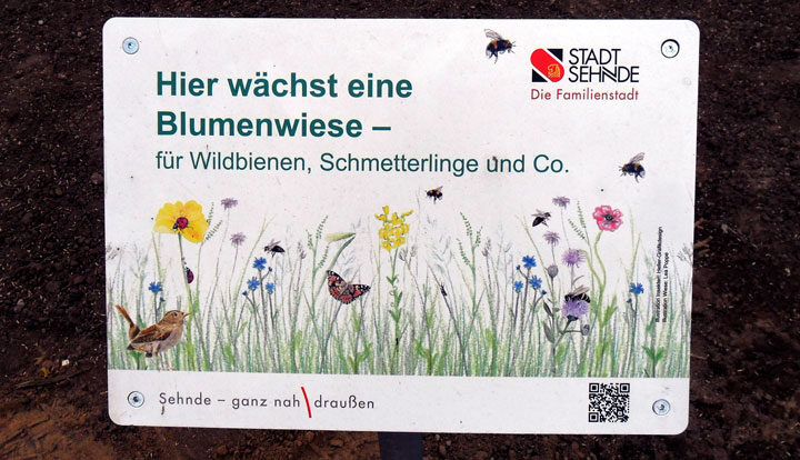 Sehnde erhält Bundesförderung zur Stärkung der Artenvielfalt im Stadtgebiet