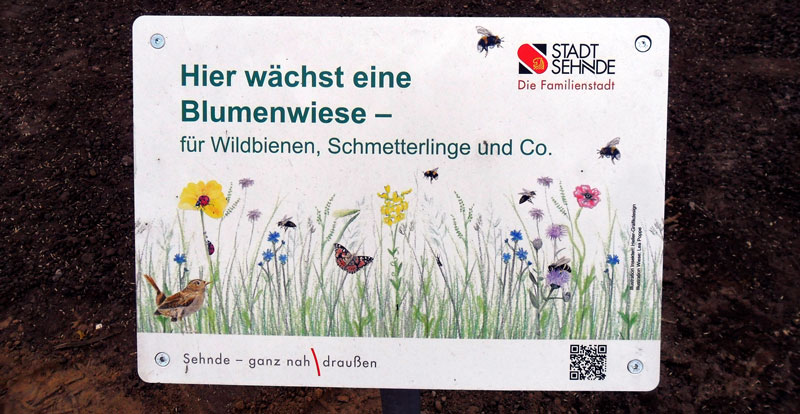 Sehnde erhält Bundesförderung zur Stärkung der Artenvielfalt im Stadtgebiet