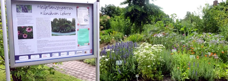 Einladung zur Wanderung durch Lehrtes verborgene Gärten