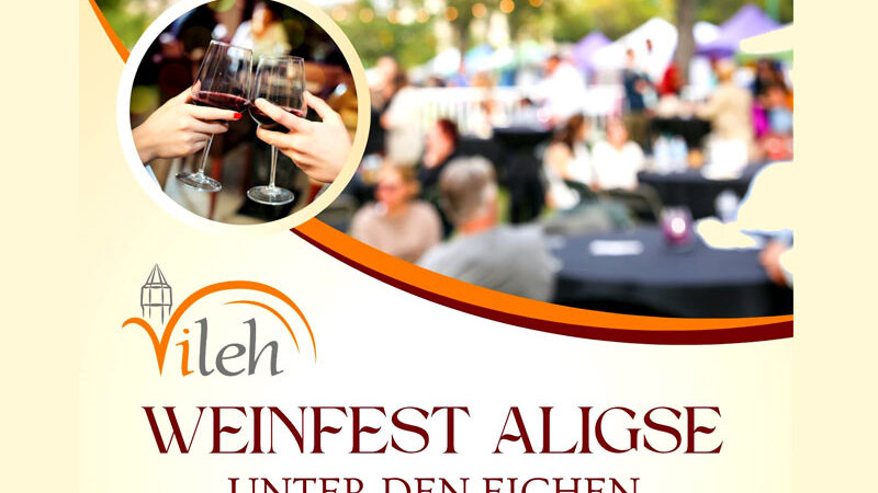 Genuss, Gemeinschaft und ein Hauch Europa: Aligse lädt ein zum Weinfest unter alten Eichen