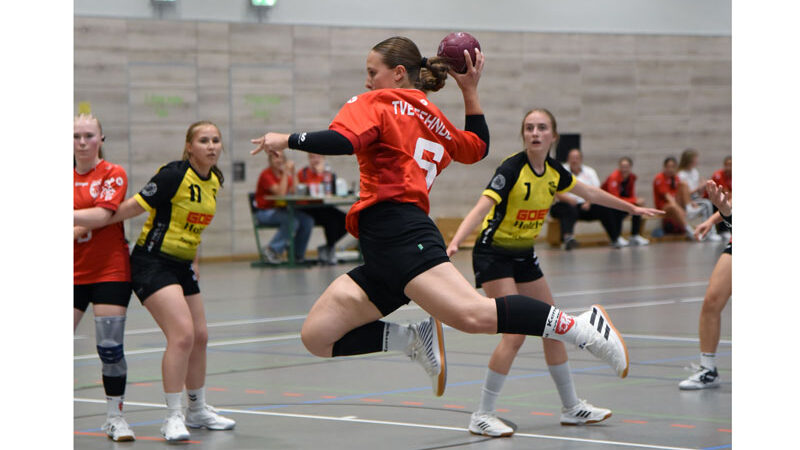 Vorbereitungsturnier für den Handballnachwuchs im Sportzentrum Sehnde