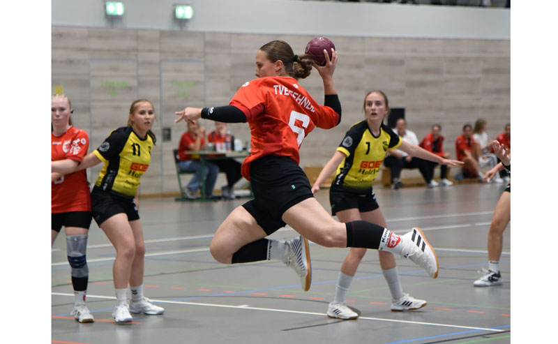 Vorbereitungsturnier für den Handballnachwuchs im Sportzentrum Sehnde