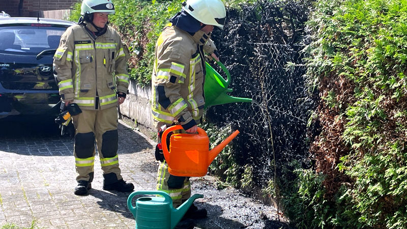 Gasbrenner setzt Hecke in Lehrte in Brand