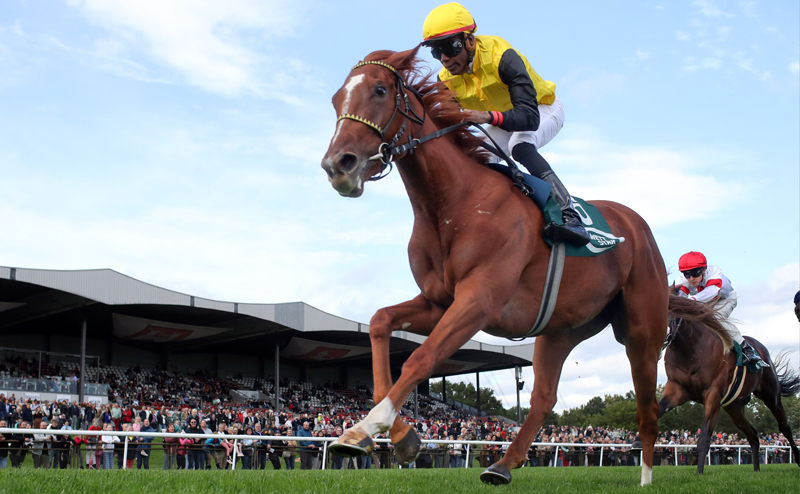 VGH Oktoberfest-Renntag mit vier Siegen von Championjockey Thore Hammer-Hansen