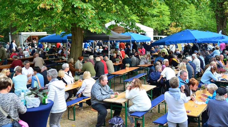 Abschlussveranstaltung Jazz im Park XXL