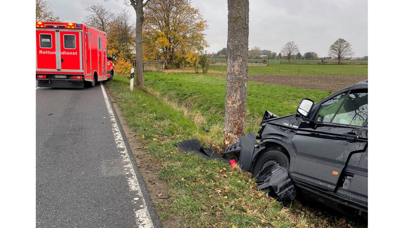 Transporter prallt vor Bolzum gegen Baum – eine Person verletzt