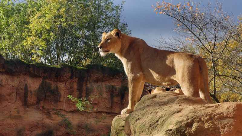 Erlebnis-Zoo startet in die Wintersaison