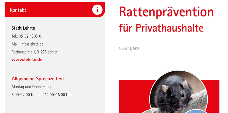 Turnusmäßige Rattenbekämpfung in der Abwasserkanalisation