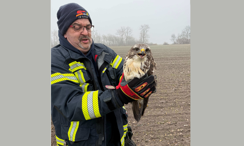 Vier Einsätze für Sehnder Ortsfeuerwehren an Weihnachten