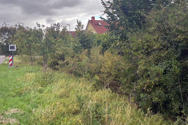 Auftakt zum Sehnder Projekt „Natürlicher Klimaschutz in Kommunen“