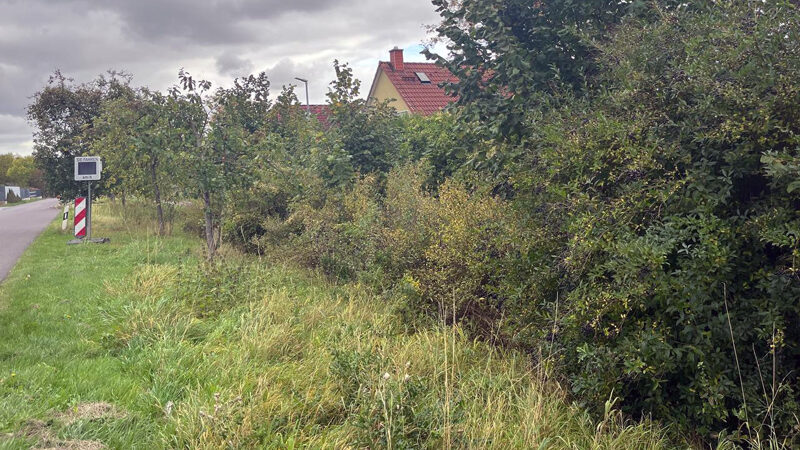 Auftakt zum Sehnder Projekt „Natürlicher Klimaschutz in Kommunen“