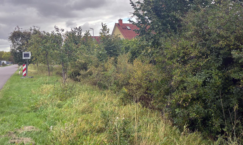 Auftakt zum Sehnder Projekt „Natürlicher Klimaschutz in Kommunen“