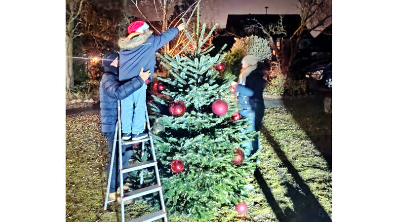 Operation Weihnachtsbaum: Bilm regelt das in Rekordzeit