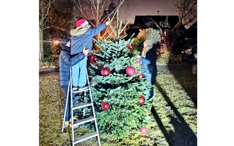 Operation Weihnachtsbaum: Bilm regelt das in Rekordzeit