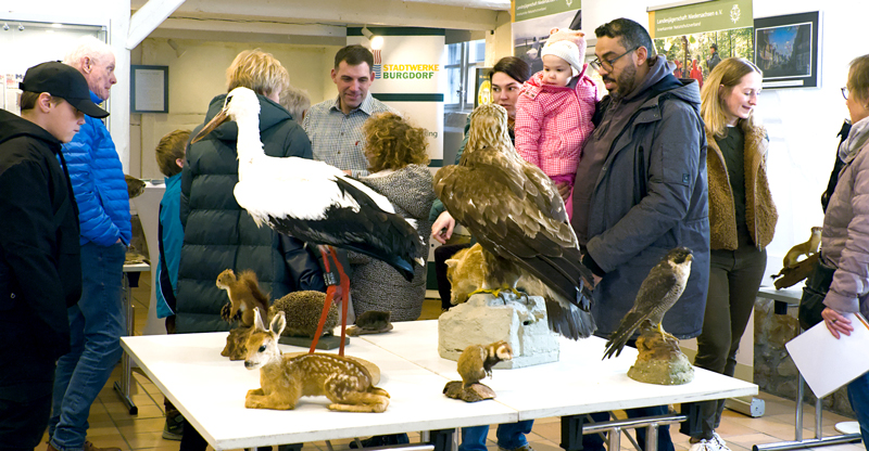 Ausstellung „Unsere heimische Tierwelt“ der Jägerschaft Burgdorf in der KulturWerkStadt
