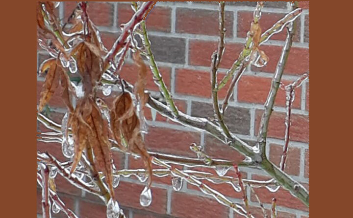 Einsatz von Streumitteln im privaten Bereich