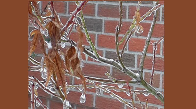 Warnung: Nun folgen herabfallende Eiszapfen, Dachlawinen und mögliche Überschwemmung