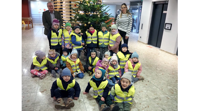 Weihnachtsbaum im Rathaus aufgestellt und geschmückt