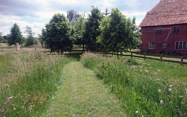 Bürgerabend „Natürlicher Klimaschutz in Kommunen“: Grünflächenpflege für Sehnde