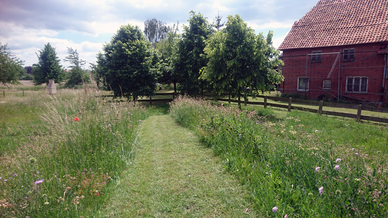 Bürgerabend „Natürlicher Klimaschutz in Kommunen“: Grünflächenpflege für Sehnde