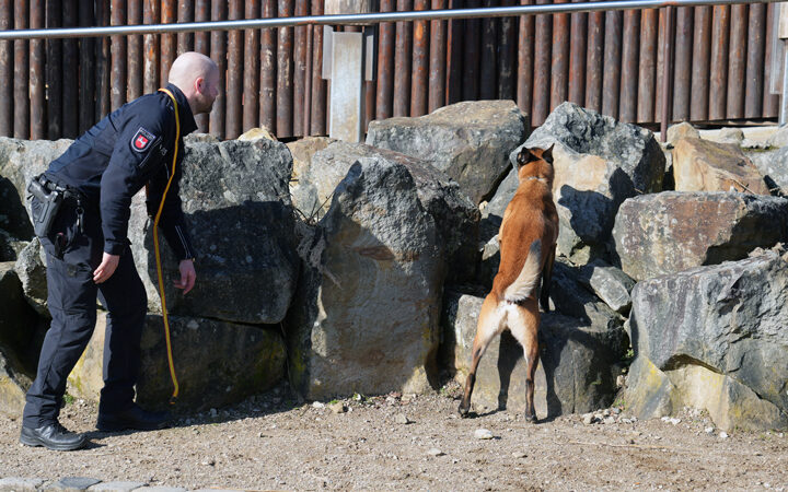 Tag der Super-Spürnasen im Heide Park Resort
