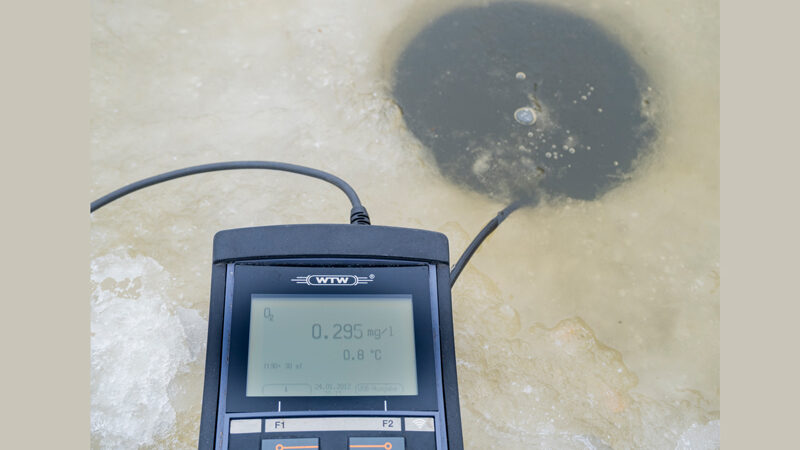 Dauerfrost auch für Fische in Niedersachsen problematisch