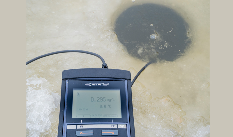 Dauerfrost auch für Fische in Niedersachsen problematisch