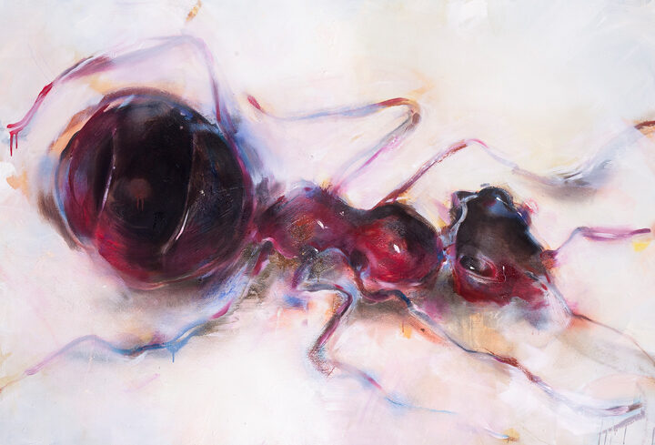 Maria Trezinski: Holometabola in Lehrte