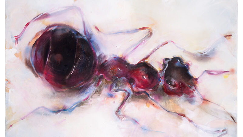 Maria Trezinski: Holometabola in Lehrte