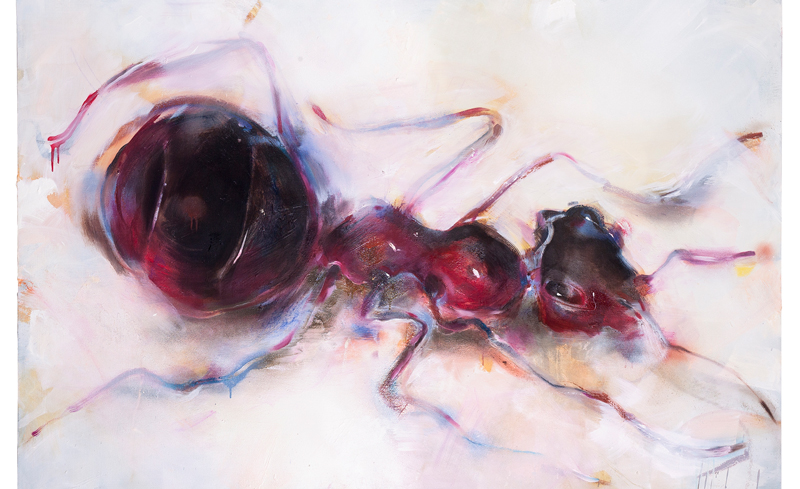 Maria Trezinski: Holometabola in Lehrte