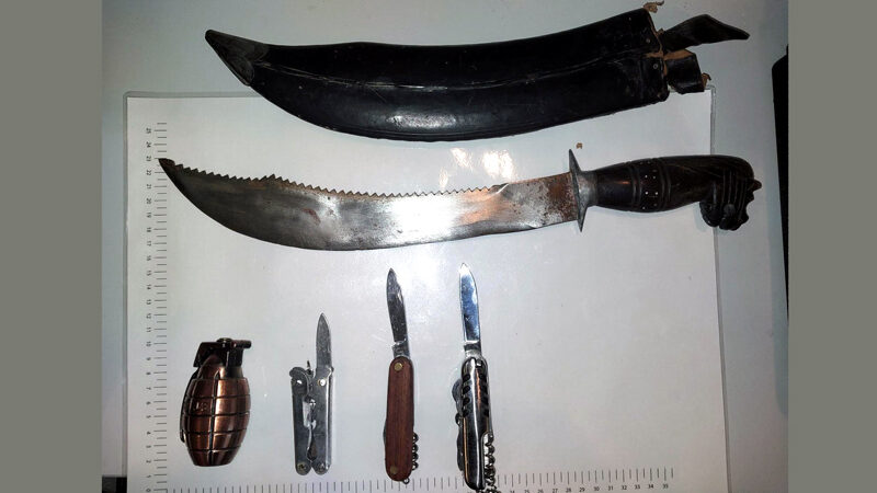 Mann ohne Fahrschein, mit gestohlenem Fahrrad und Machete im Gepäck, greift Bundespolizisten an