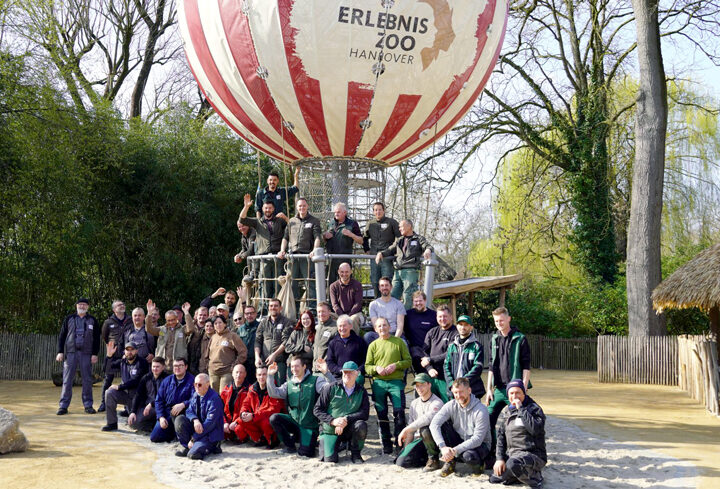 Dufte Schleichkatzen, flinke Frettchen und ein Heißluftballon – neue Attraktionen im Zoo