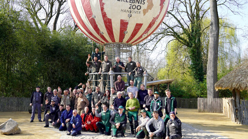 Dufte Schleichkatzen, flinke Frettchen und ein Heißluftballon – neue Attraktionen im Zoo