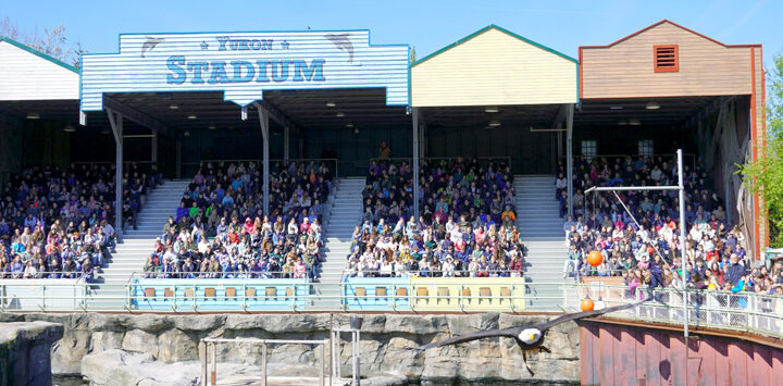 Berufe-Rallye zwischen Löwe, Eisbär und Gürteltier: spannender Zukunftstag im Zoo
